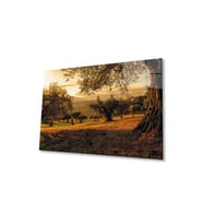 Son Bahar Cam Tablo 4mm Dayanıklı Cam Tablo Temperli Cam, Autumn Glass Painting Glass Wall Art (Çok Renkli)