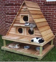 Ahşap Kedi Evi