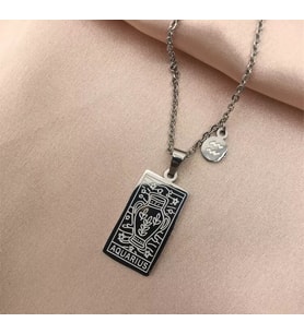 Kişiye Özel 925 Ayar Gümüş Kova Burcu Tarot Kolye