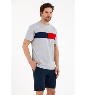 Erkek Bisiklet Yaka Regular Fit Garnili  Tişort SPR22TS111 (Grimelanj)