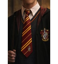 Erkek Kırmızı Harry Potter Gryffindor Desenli Kravat