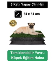 Özel Üretim 3 Katlı Evcil Hayvan Tuvalet Eğitim Halısı Yavru Köpek Yapay Çim Pet Park Temizlenebilir
