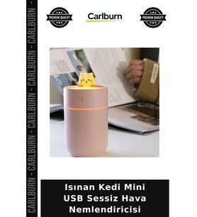 Özel Üretim Masaüstü Dekoratif LED Işıklı Ofis Isınan Kedi Mini USB Sessiz Hava Nemlendiricisi