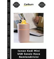 Özel Üretim Masaüstü Dekoratif LED Işıklı Ofis Isınan Kedi Mini USB Sessiz Hava Nemlendiricisi