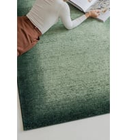 Hoom Rugs Etro 2707 Yeşil Çerçeveli Vintage Desenli Salon Halısı