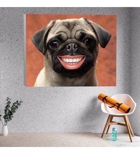 Yakın Çekim Gülümseyen Pug Yavru Köpek Dekoratif Kanvas Tablo