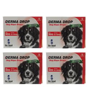Maxi Derma 21-40kg Köpek Ense Damlası  4 kutu