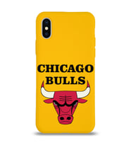 Apple iPhone XS Uyumlu Lansman Kılıf Chicago Bulls Tasarımlı Altı Kapalı İçi Kadife Kaplı  Kapak (Şeffaf)