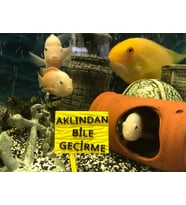 Akvaryum Dekoru - Aklından Bile Geçirme Yazısı