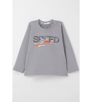 Breeze Erkek Çocuk Uzun Kollu Tişört Hız Temalı Sırt Kısmı Baskılı 2-6 Yaş, Gri