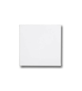 Kraf Tuval 40x40 cm 