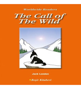 Level 4 - The Call of The Wild
