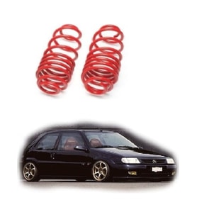 Citroen Saxo 1996-2003 Uyumlu Coil-Ex 4.5cm Helezon Spor Yay