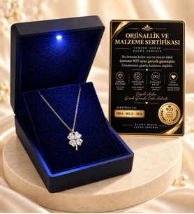 Premium Işıklı Kutuda 925 Ayar Gümüş Altın Kaplama Yonca Kolye