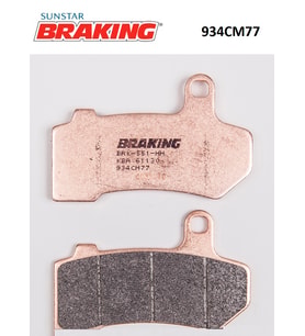 SİNTERLİ FREN BALATASI / HARLEY D. / V-ROD VRSCAW / 1250cc / ARKA  / 2008-2009-2