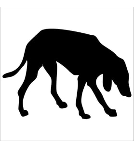 KÖPEK FOLYO STİCKER DERSTV889 70cm Uzunluk (Karışık)