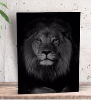 BK Gift Aslan Tasarımlı Dekoratif Mini Kanvas Tablo 15x20cm-1
