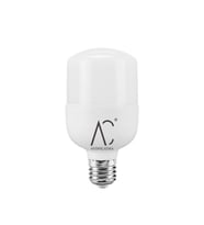 40W Torch Led Ampul 6500K (Beyaz Işık)