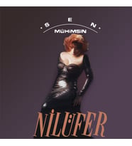 Nilüfer Sen Mühimsin - Plak