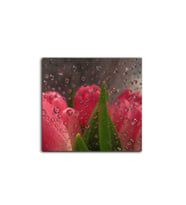 Pembe Laleler Tablo 70 X 70 Cm