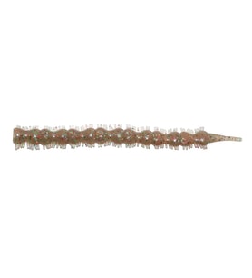 Hanfish Bibi 7cm Lrf Silikon Yem Blodyworm