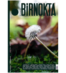İstanbul Birnokta 263.Sayı Aralık 2023 (STD)