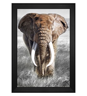 Hayvanlar Temalı Kanvas Tablo 80 x 110 cm Siyah Çerçeve