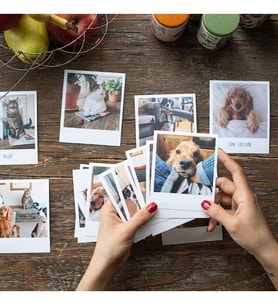 Polaroid Fotoğraf Baskısı HD Kalite Kişiye Özel Polokart