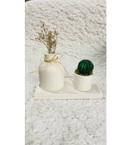 3 lü Kare Tabaklı İskandinav Model Vazo ve Saksılı Kaktüs Dekorasyon Set