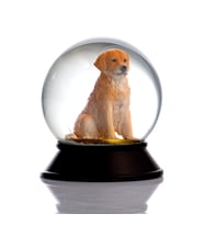 Snoowg Cam ve Reçine Altın Patiler Köpek Golden Retriever Kar Küresi Hediye