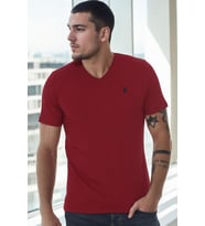 T8568 DEWBERRY V YAKA ERKEK T-SHIRT-BORDO-1