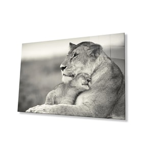 Aslan Hayvan Cam Tablo 4mm Dayanıklı Temperli Cam