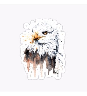 Araba için Kartal Oto Sticker Yapıştırması Etiket  17CM s1