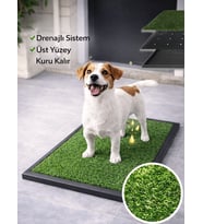 Beylini Köpek Çim Tuvalet Matı Pet Kedi Plastik Havuzlu Drenajlı Kaka Çiş Ped Halısı Hijyenik Paspas Köpek Tuvalet Eğitim Parkı Tuvalet Çiş Eğitimi 50x75cm