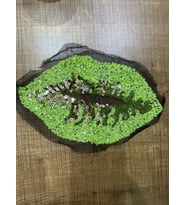 25X15 CM PUL PAYETLİ YEŞİL DUDAK APLİKE ARMA YAMA DİKİŞ HOBİ AKSESUARI