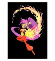 Shantae Yangın Saldırısı Tablo Ahşap Poster Dekoratif