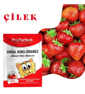 Pro Perfeck Çilek Kokulu Koku Giderici 25 gr