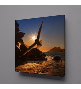 SAHİLDE UÇAN KUŞ KANVAS TABLO 120x120cm (Karışık)