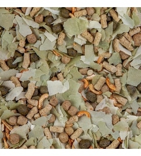 Sera Pond Mix Royal 100 gr Poşette Havuz ve Japon Balığı Yemi Skt:09/2027