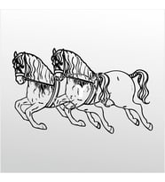 Folyo Sticker Atlar 90 cm uzunluk (Karışık)