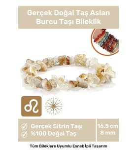 Premium Aslan Burcu Enerjisini Yükselten Doğal Taş Bileklik Aslan Burçları Burç Unisex Bileklik