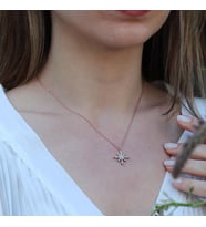 Kutup Yıldızı Zirkon Taşlı Rose Gold Kaplama Gümüş Kolye