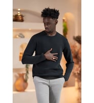 Paul Martin Modal Esnek Kumaş Regular Fit Mevsimlik Sweatshirt