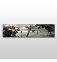 Göldeki Ördekler  Kanvas Tablo 180x60cm (Karışık)