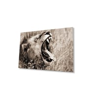 Aslan Cam Tablo 4mm Dayanıklı Temperli Cam (Çok Renkli)