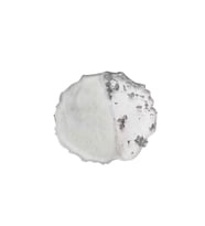 Epoksi Magnet Tırtıklı  Varaklı Yarısı Şeffaf  7 CM  (10 Adet)   Gümüş
