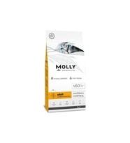 Molly Tavuklu ve Hamsili Yetişkin Kedi Maması 2 kg
