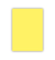 Bigpoint Fon Kartonu 50x70cm 120 Gram Sarı x 100 Adet