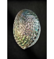 Abalone Shell Süper Renkli Istiridye Kabuğu