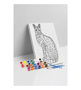 Serval Desenli Mandala Tuval Boyama Seti 40x50 cm